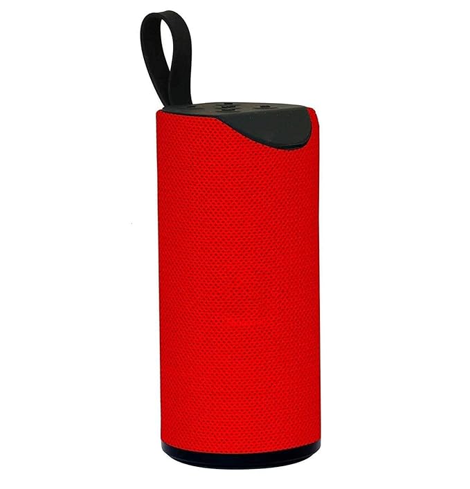 TG-113 PORTABLE SPEAKER