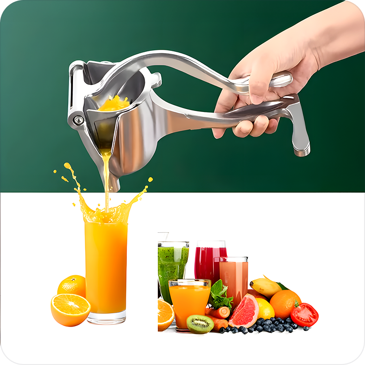 Fruit Press Juicer
